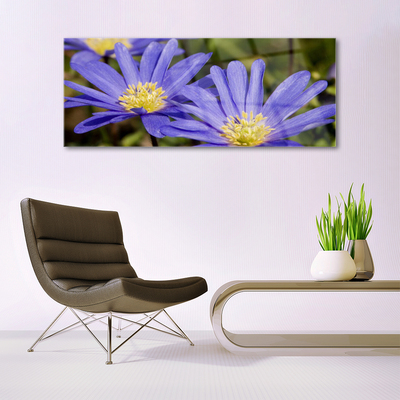 Schilderij op acrylglas Bloemen plant nature