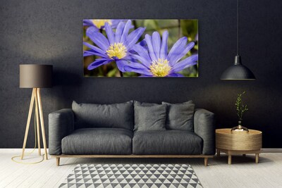 Schilderij op acrylglas Bloemen plant nature