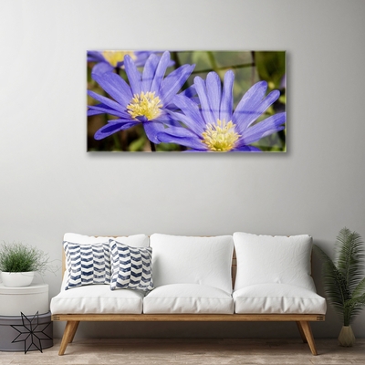 Schilderij op acrylglas Bloemen plant nature