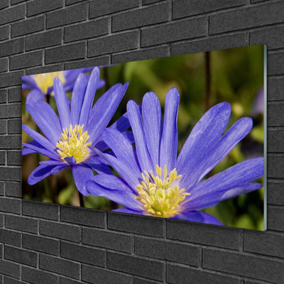 Schilderij op acrylglas Bloemen plant nature