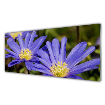Schilderij op acrylglas Bloemen plant nature