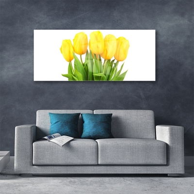 Schilderij op acrylglas Tulpen bloemen plant