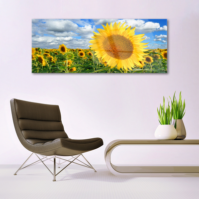 Schilderij op acrylglas Zonnebloem flower plant
