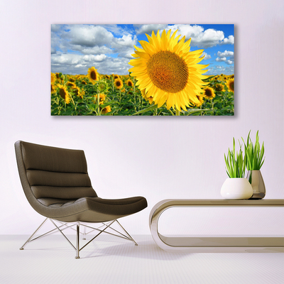 Schilderij op acrylglas Zonnebloem flower plant