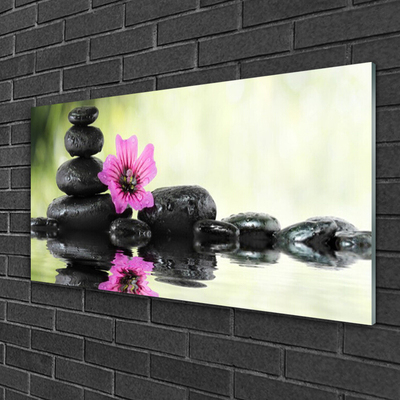Schilderij op acrylglas Mooie bloem op de muur
