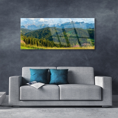 Schilderij op acrylglas Mount forest nature