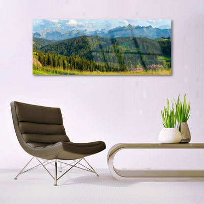 Schilderij op acrylglas Mount forest nature