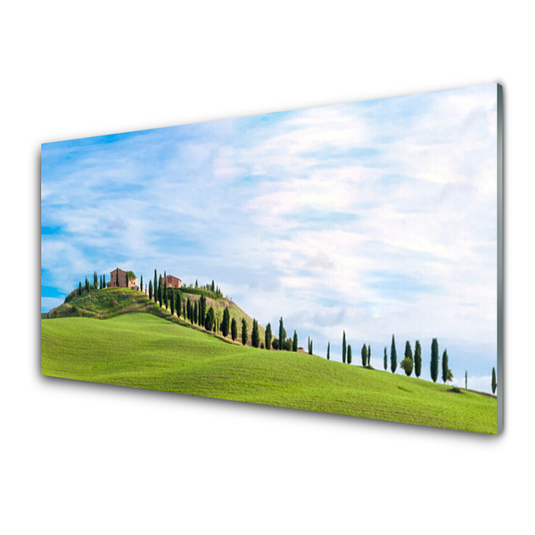 Schilderij op acrylglas Meadow trees landscape