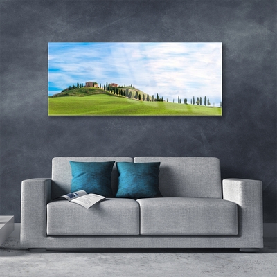 Schilderij op acrylglas Meadow trees landscape