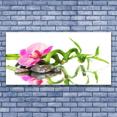 Schilderij op acrylglas Bamboo flower stones art