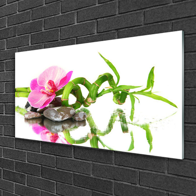 Schilderij op acrylglas Bamboo flower stones art