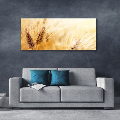 Schilderij op acrylglas Tarwe plant nature