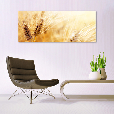 Schilderij op acrylglas Tarwe plant nature
