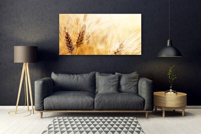 Schilderij op acrylglas Tarwe plant nature