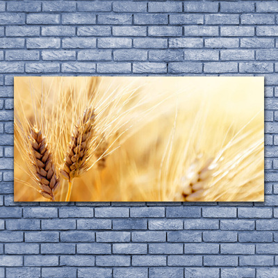 Schilderij op acrylglas Tarwe plant nature