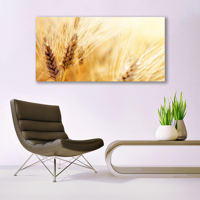 Schilderij op acrylglas Tarwe plant nature