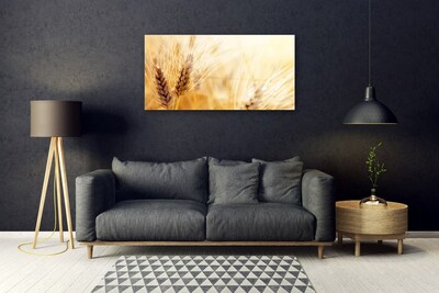 Schilderij op acrylglas Tarwe plant nature