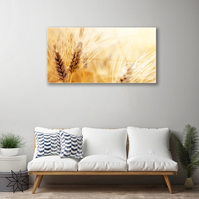 Schilderij op acrylglas Tarwe plant nature
