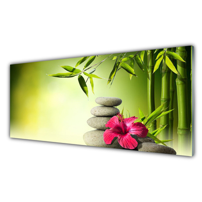 Schilderij op acrylglas Bloem bamboe de stenen van zen