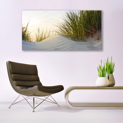 Schilderij op acrylglas Zand gras landschap
