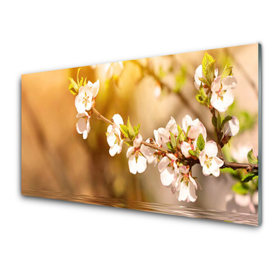 Schilderij op acrylglas Bloemen plant nature