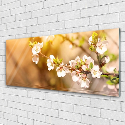 Schilderij op acrylglas Bloemen plant nature