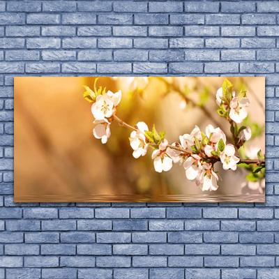 Schilderij op acrylglas Bloemen plant nature