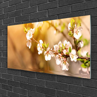 Schilderij op acrylglas Bloemen plant nature