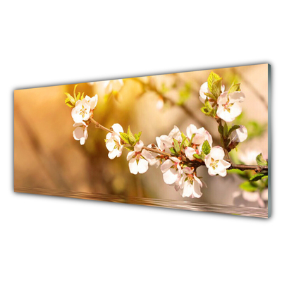 Schilderij op acrylglas Bloemen plant nature