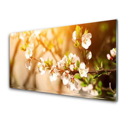 Schilderij op acrylglas Bloemen plant nature