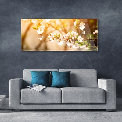 Schilderij op acrylglas Bloemen plant nature