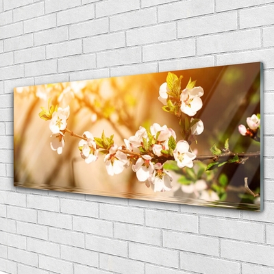 Schilderij op acrylglas Bloemen plant nature