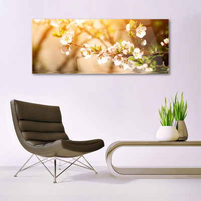 Schilderij op acrylglas Bloemen plant nature
