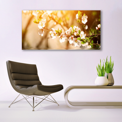 Schilderij op acrylglas Bloemen plant nature