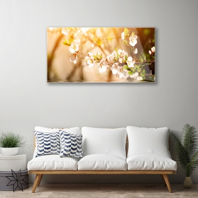 Schilderij op acrylglas Bloemen plant nature