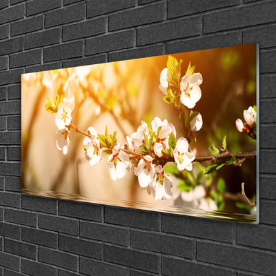Schilderij op acrylglas Bloemen plant nature