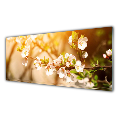 Schilderij op acrylglas Bloemen plant nature