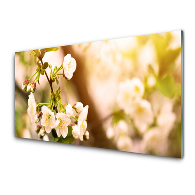 Schilderij op acrylglas Bloemen plant nature
