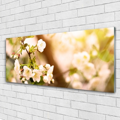 Schilderij op acrylglas Bloemen plant nature