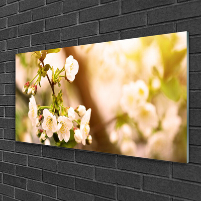 Schilderij op acrylglas Bloemen plant nature