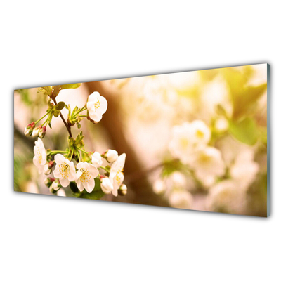 Schilderij op acrylglas Bloemen plant nature