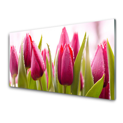 Schilderij op acrylglas Tulpen bloemen plant