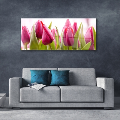 Schilderij op acrylglas Tulpen bloemen plant