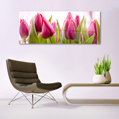 Schilderij op acrylglas Tulpen bloemen plant