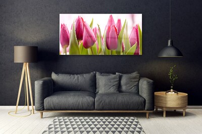 Schilderij op acrylglas Tulpen bloemen plant