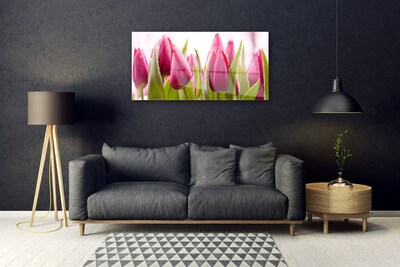 Schilderij op acrylglas Tulpen bloemen plant