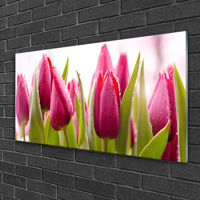 Schilderij op acrylglas Tulpen bloemen plant