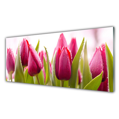 Schilderij op acrylglas Tulpen bloemen plant