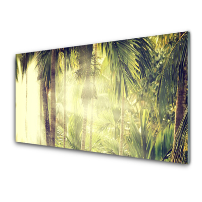 Schilderij op acrylglas Palm tree forest nature