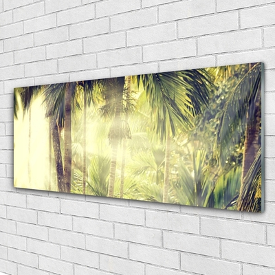 Schilderij op acrylglas Palm tree forest nature